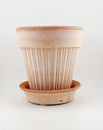 Simona Pot