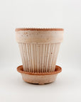 Simona Pot