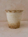 Terracotta Planter with Ruffled Edge