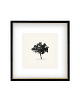 Tree Framed Art, 15x15