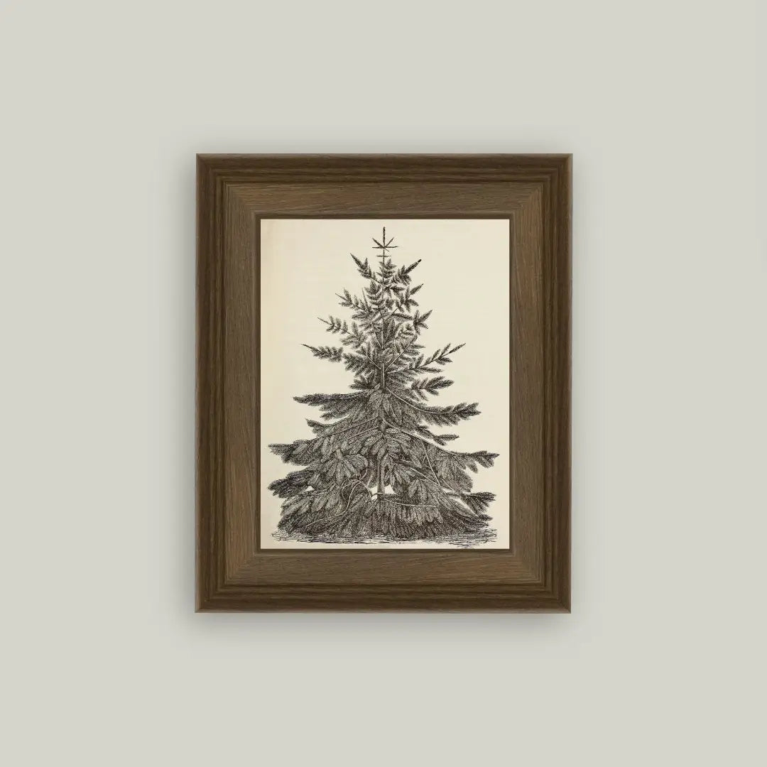 Vintage Christmas Pine Tree Art, 8x10