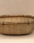 Vintage Harvest Tree Basket, XL Size