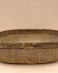 Vintage Harvest Tree Basket, XL Size