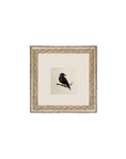 Black Crow, 9x9
