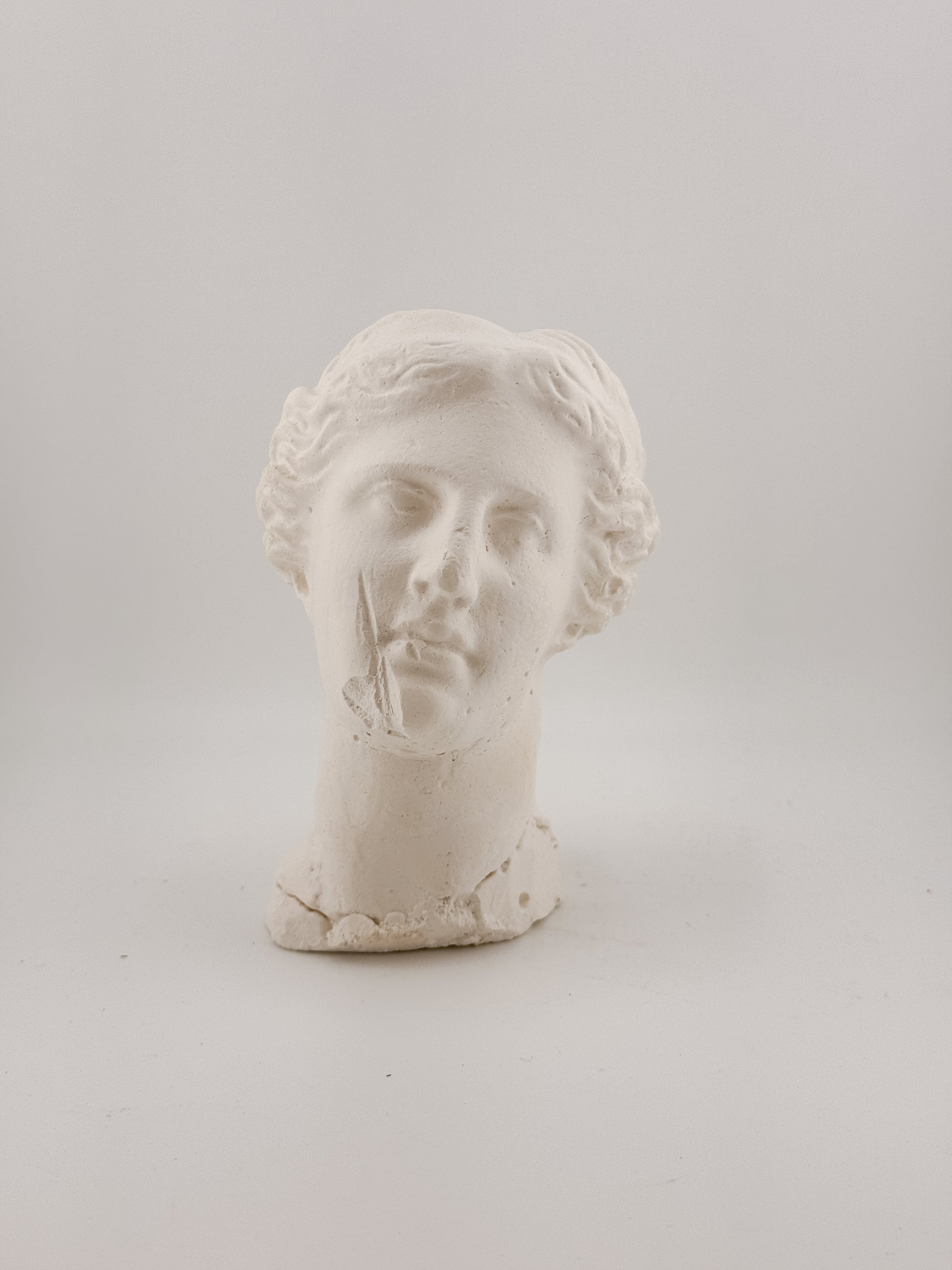 Plaster Busts