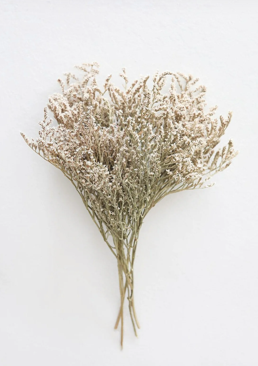 Dried German Statice