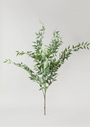 Faux Italian Ruscus Spray - Set of 3 Stems