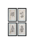 Floral Framed Art Prints - Set of 4