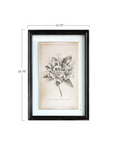 Floral Framed Art Prints - Set of 4