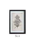 Floral Framed Art Prints - Set of 4