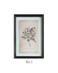 Floral Framed Art Prints - Set of 4