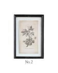 Floral Framed Art Prints - Set of 4