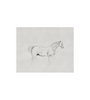 Horse Sketch Art Board, 11x14