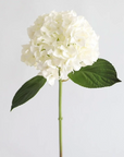 Real Touch Hydrangea Stem in Talc White - 18"