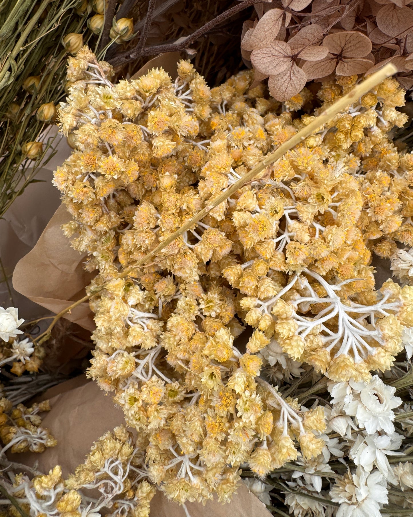Yellow Yarrow Dried Flowers