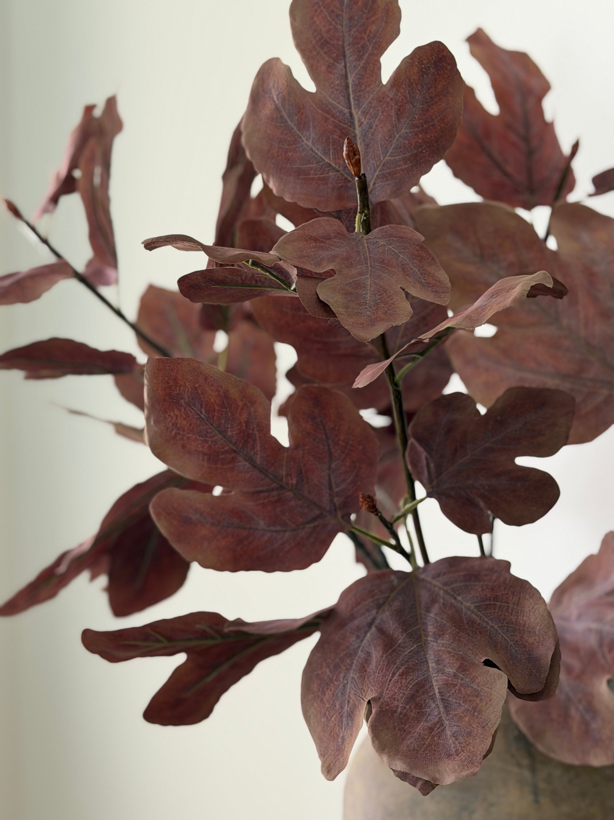 Fall Leafy Stem