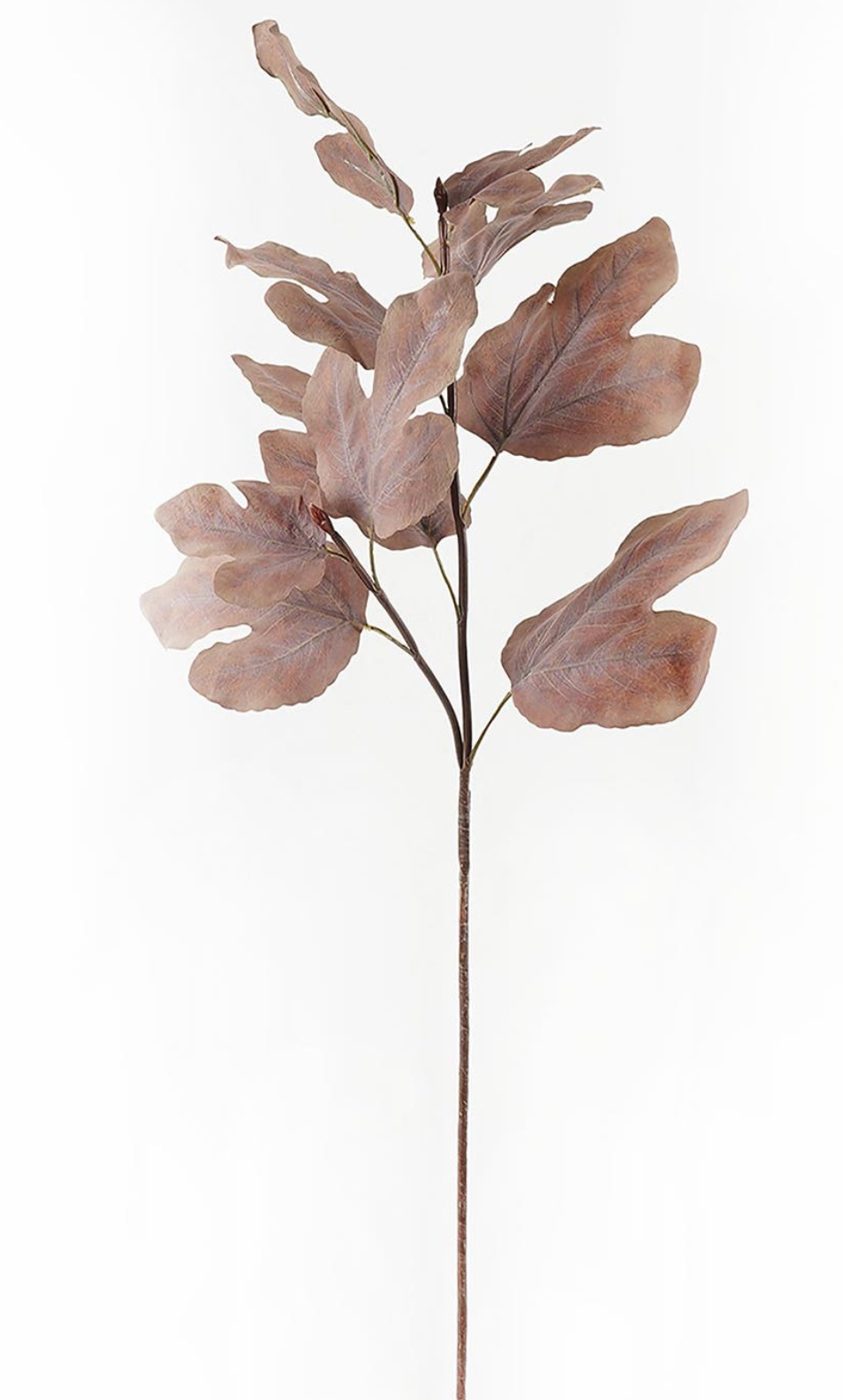Fall Leafy Stem