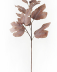 Fall Leafy Stem
