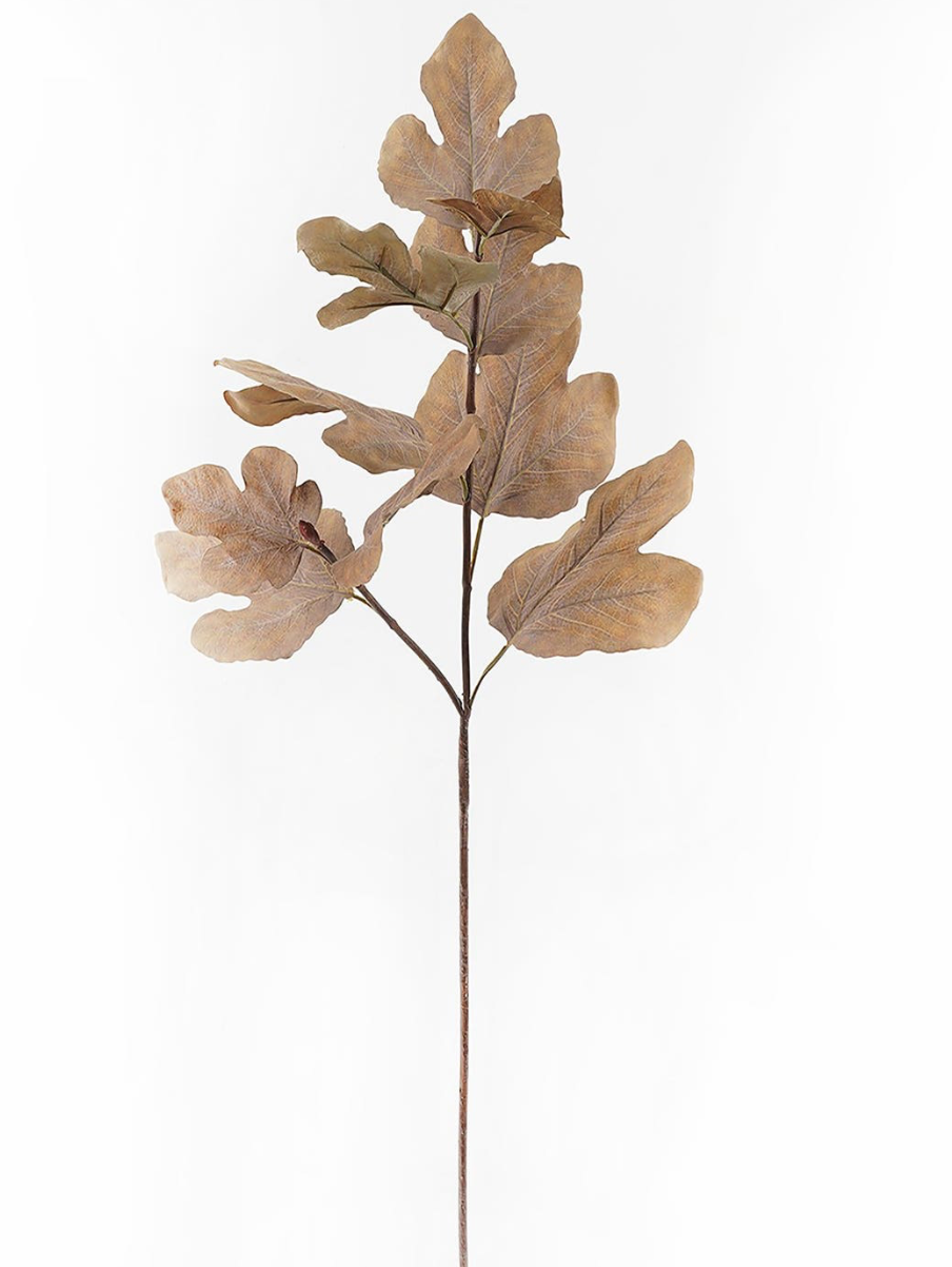 Fall Leafy Stem